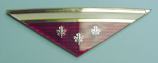 1967 Galaxie 500 Trunk Ornament Emblem Foil Insert XL LTD New Repro 